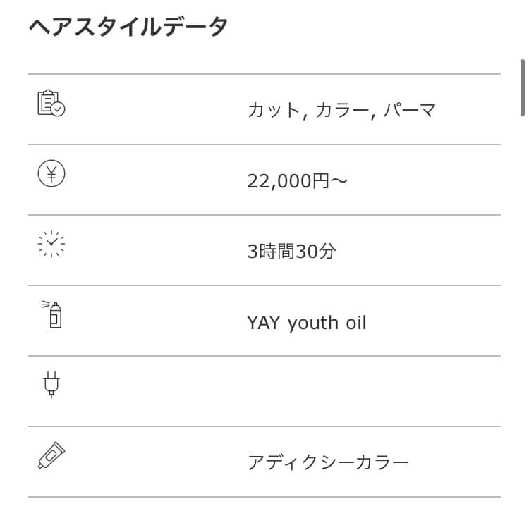ヘアスタイルの料金、時間、スタイリング剤などの情報を掲載